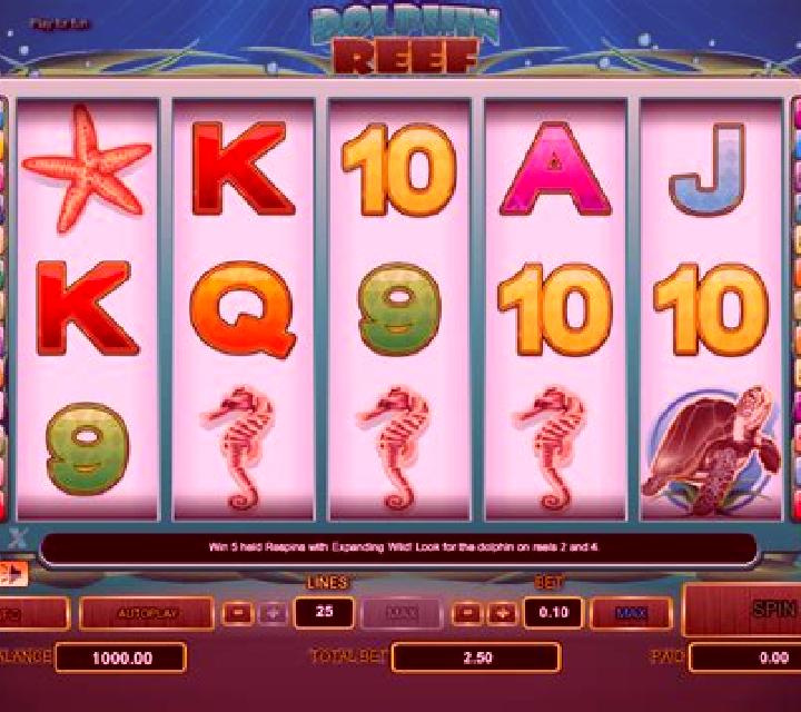 Dolphin Reef (Playtech) slot machine