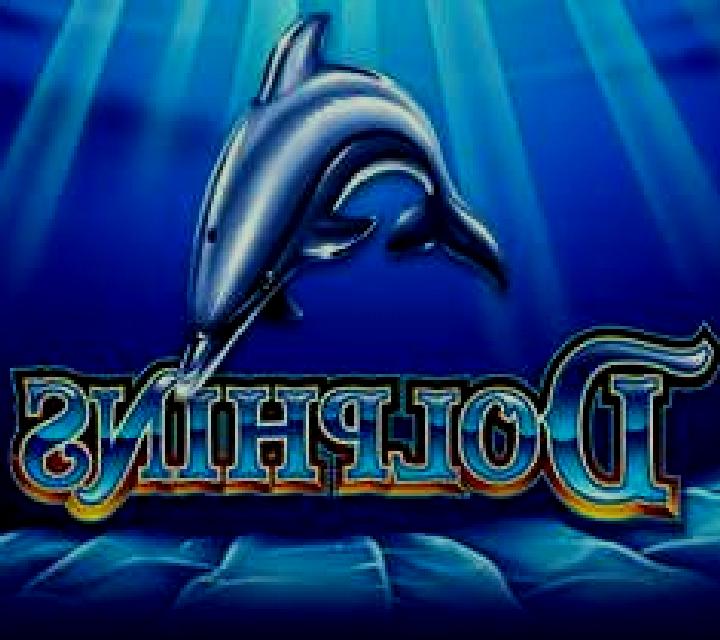 Dolphins Ainsworth slot game