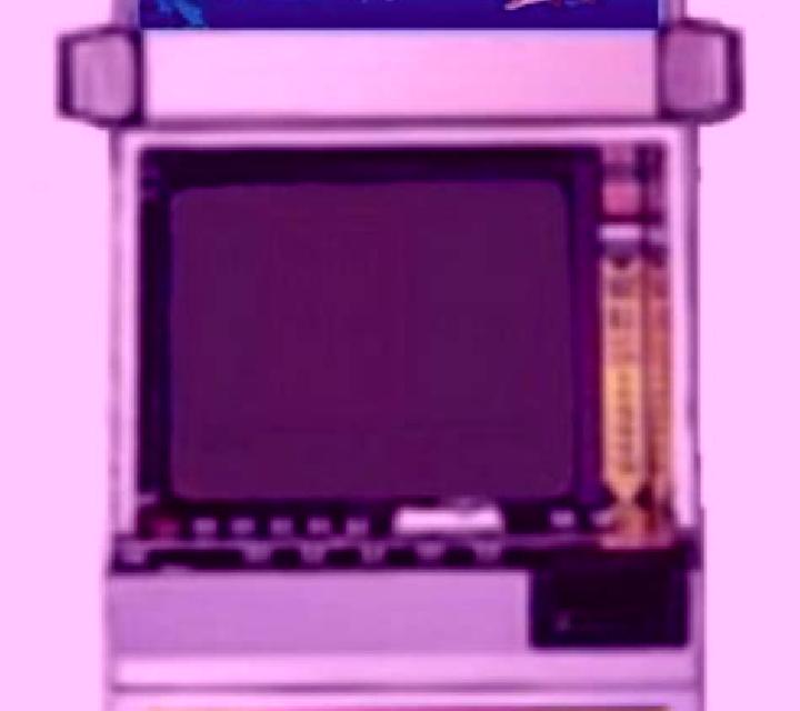 Dolphins Shell slot game