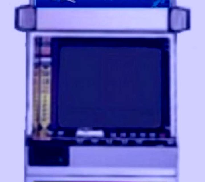 Dolphins Shell slot machine