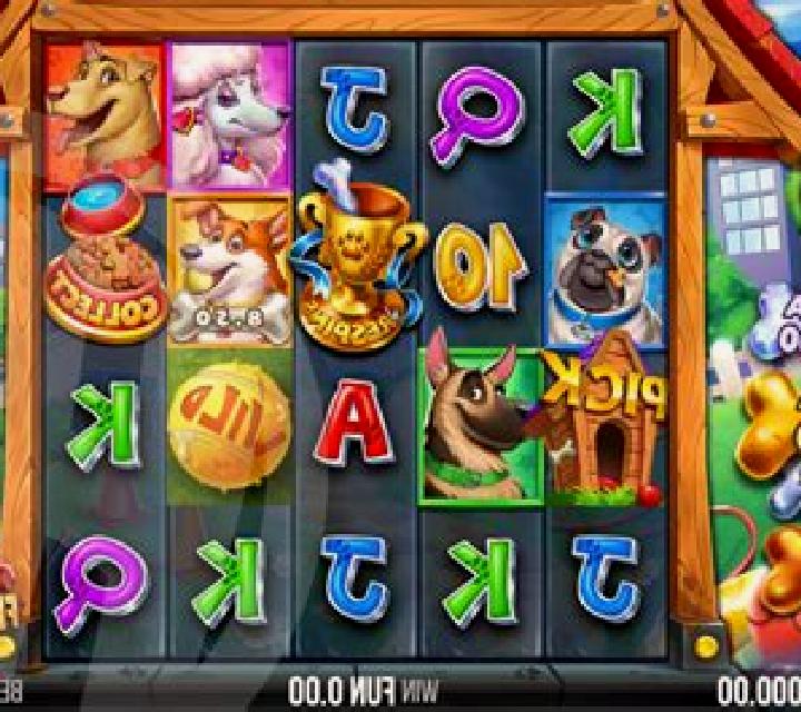 Donkey Dollars slot game