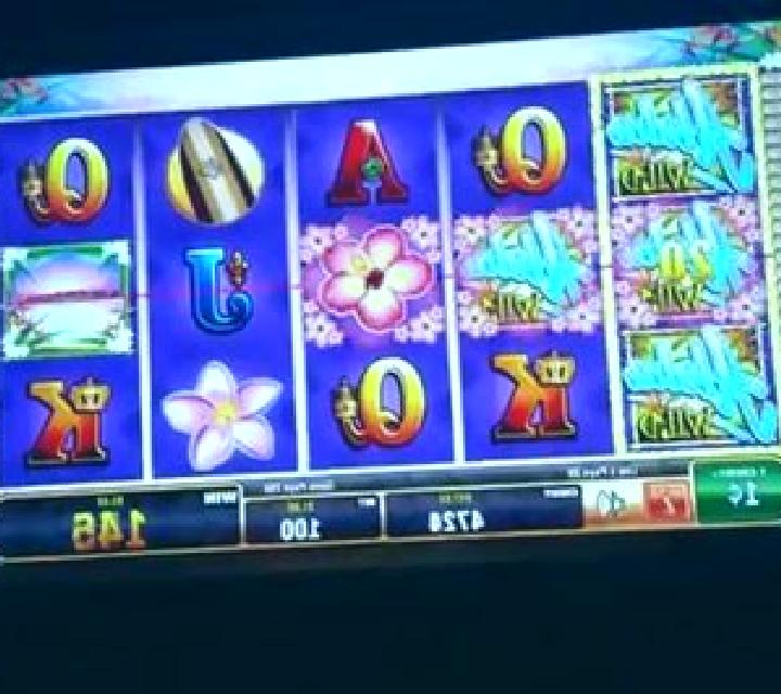 Double Delight slot machine