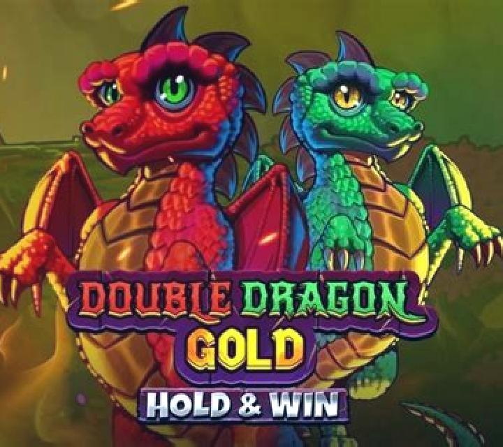 Double Dragon Gold: Hold & Win slot