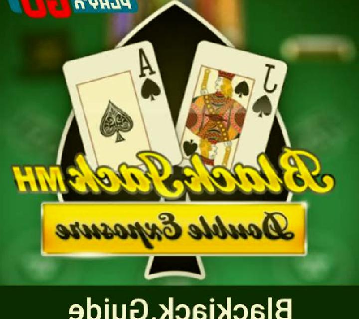Double Exposure Blackjack MH (Play n Go) slot