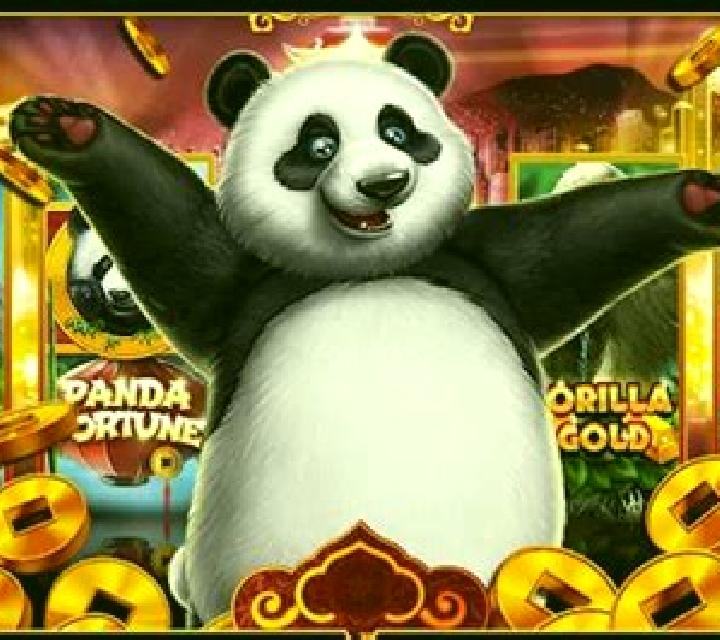 Double Fortune Panda slot