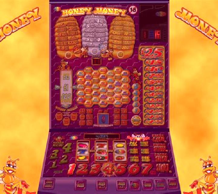 Double Honey Money slot game