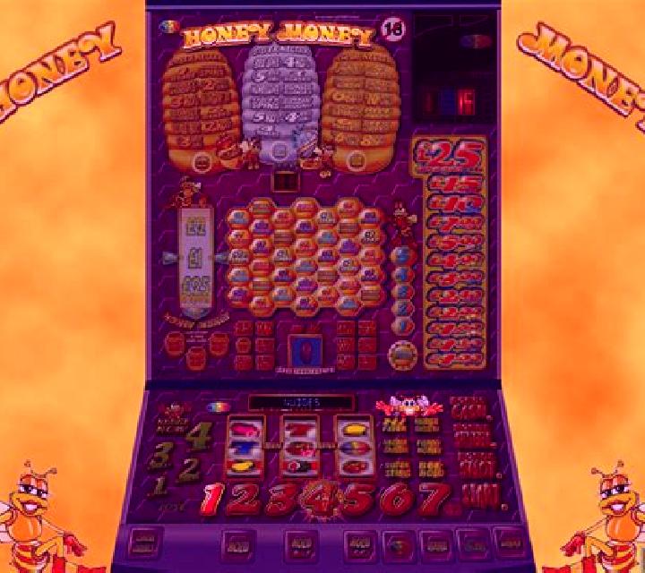 Double Honey Money slot
