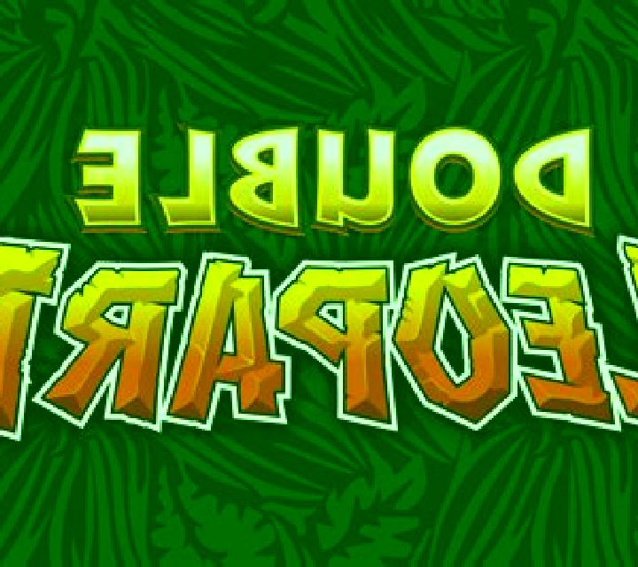 Double Leopard online slot