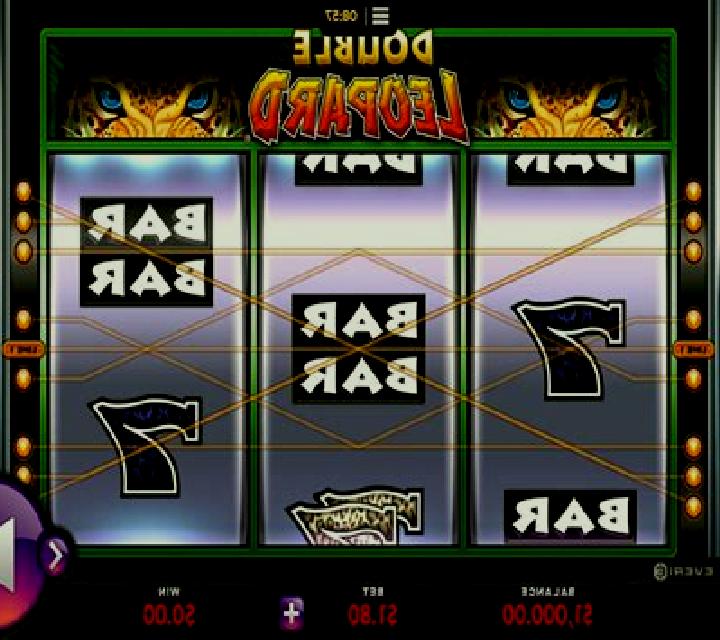 Double Leopard slot game