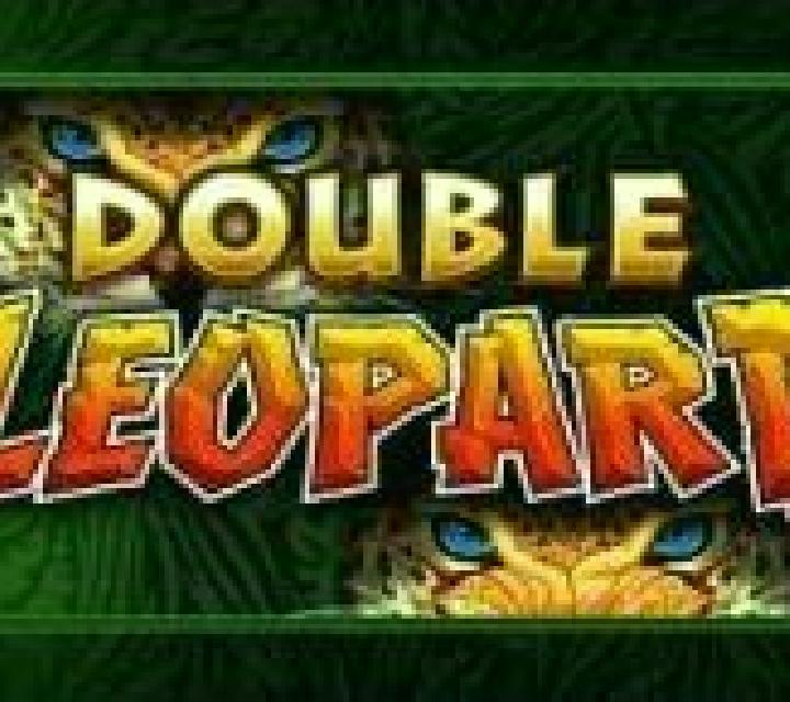 Double Leopard slot machine