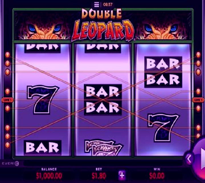 Double Leopard slot