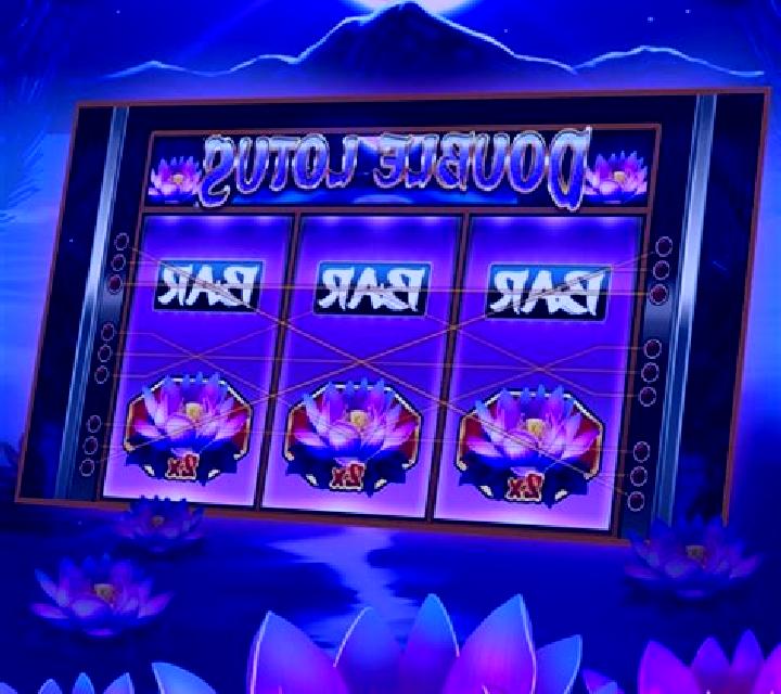 Double Lotus slot game