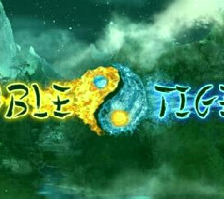 Double Tigers online slot