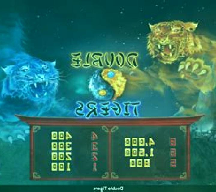 Double Tigers slot game