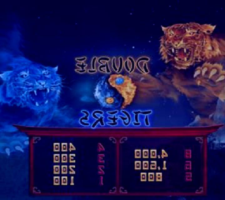 Double Tigers slot machine