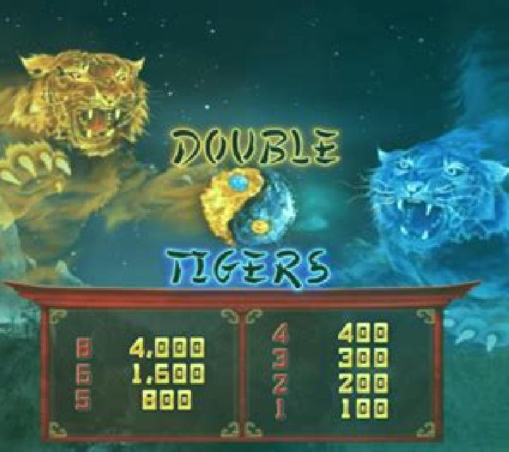 Double Tigers slot