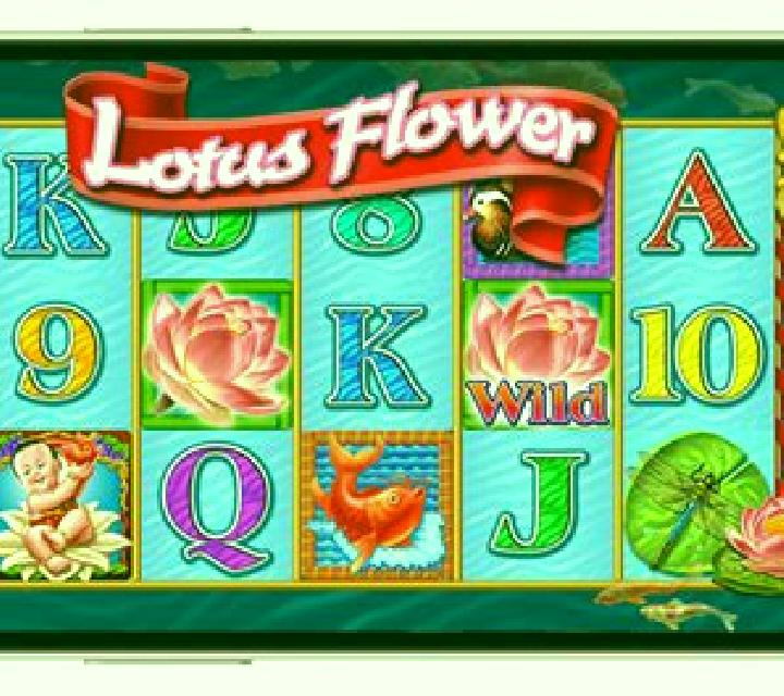 Dragon s Flower slot game