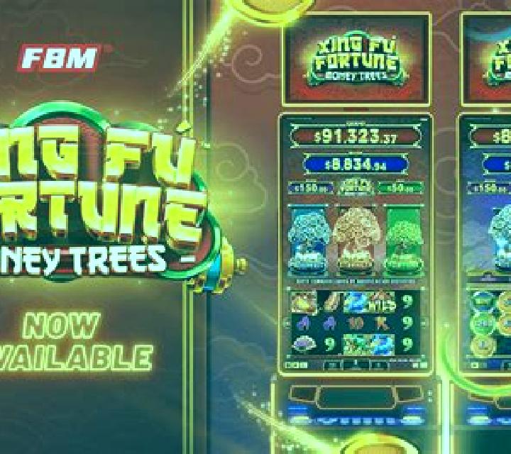 Dragon s Fortune (FBM Digital Systems) slot