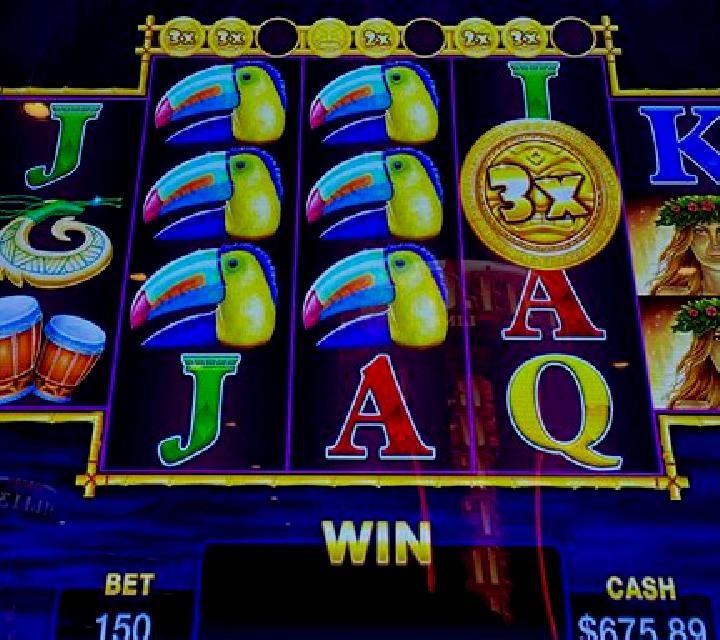 Dreams of Fortune slot machine