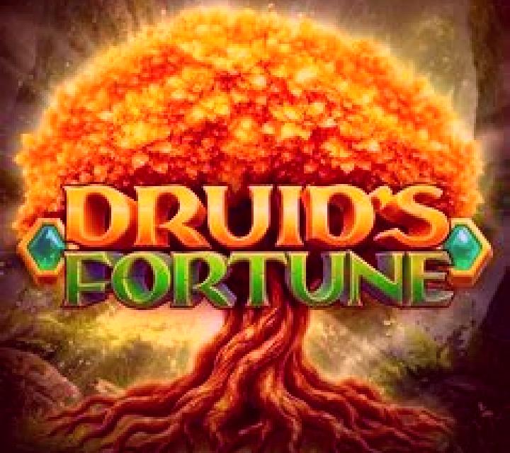Druid s Fortune slot