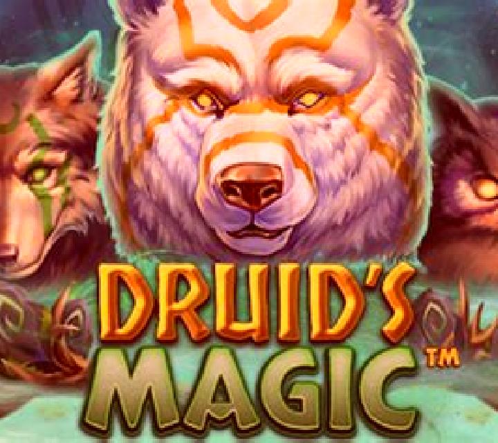 Druid’s Magic slot