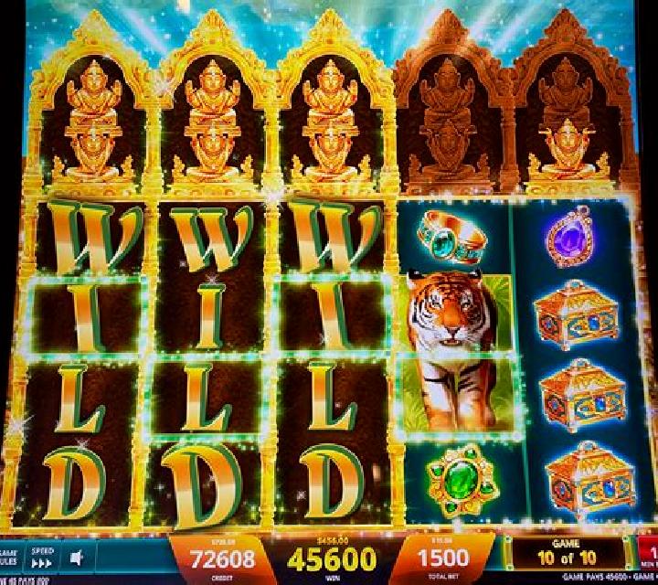 Drunken Jungle slot machine
