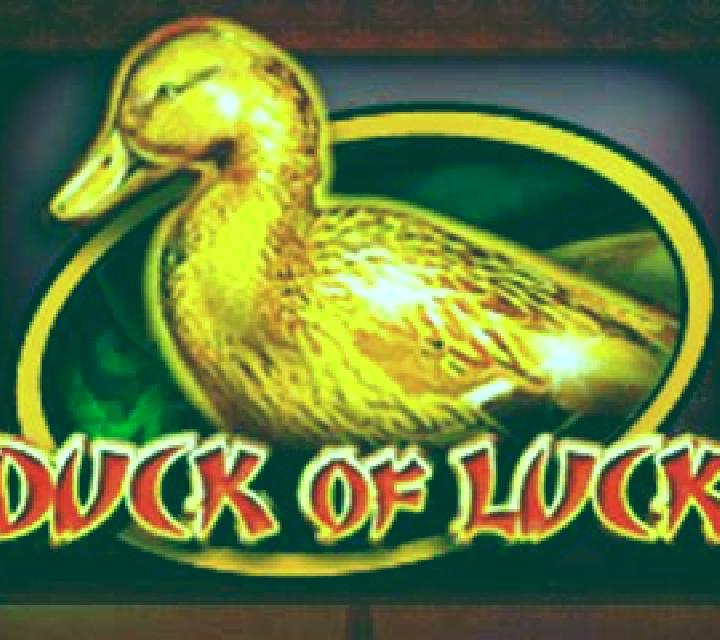 Duck of Luck slot game