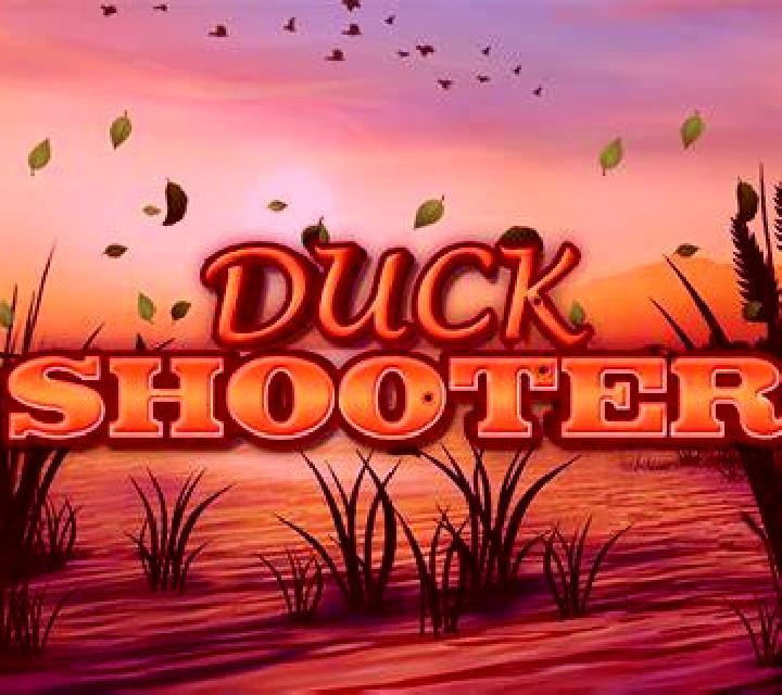 Duck Shooter slot