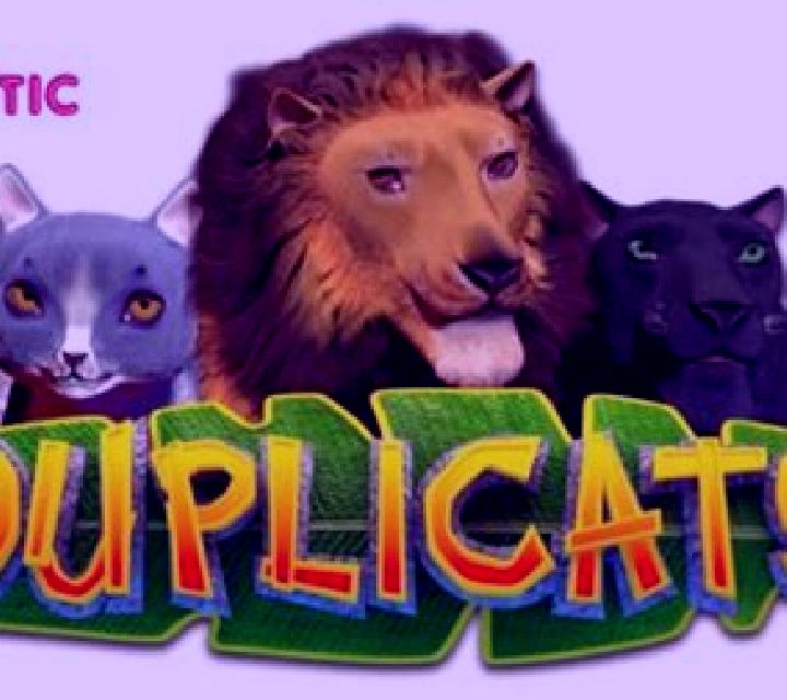 Duplicats slot game