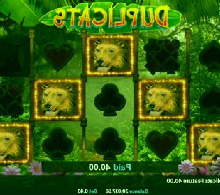 Duplicats slot machine