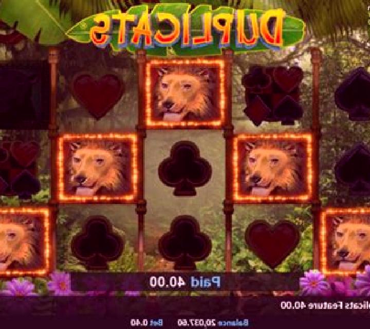 Duplicats slot