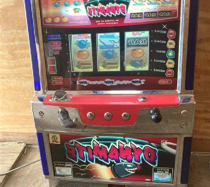Dynamite Fruits slot machine
