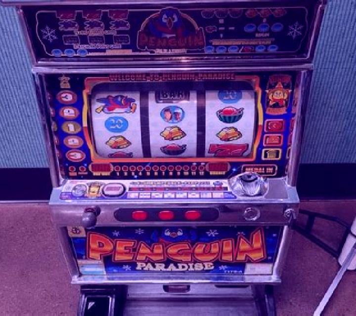 E Paradise slot machine