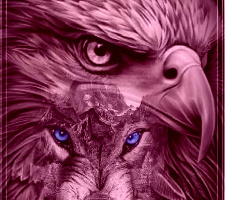 Eagle And Wolf online slot