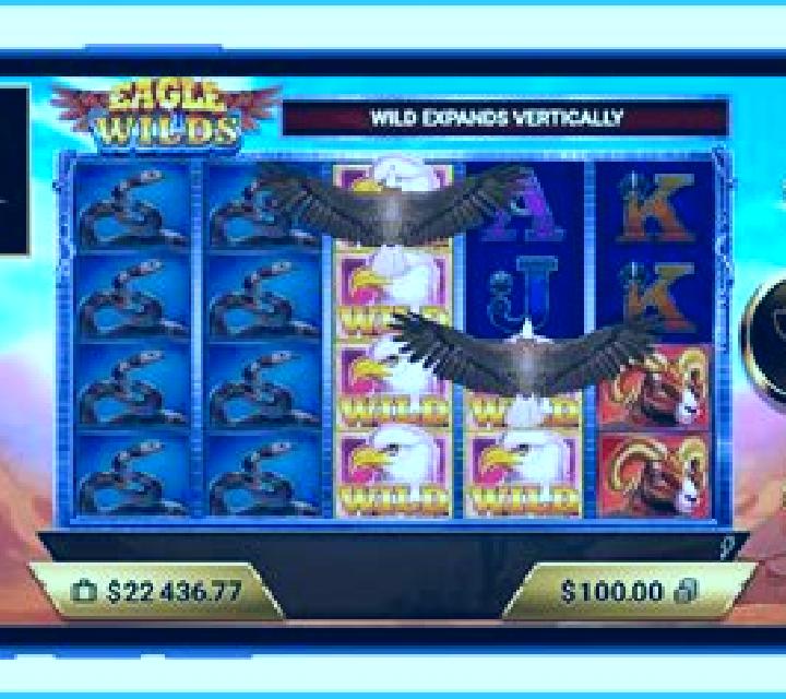 Eagle Wilds slot
