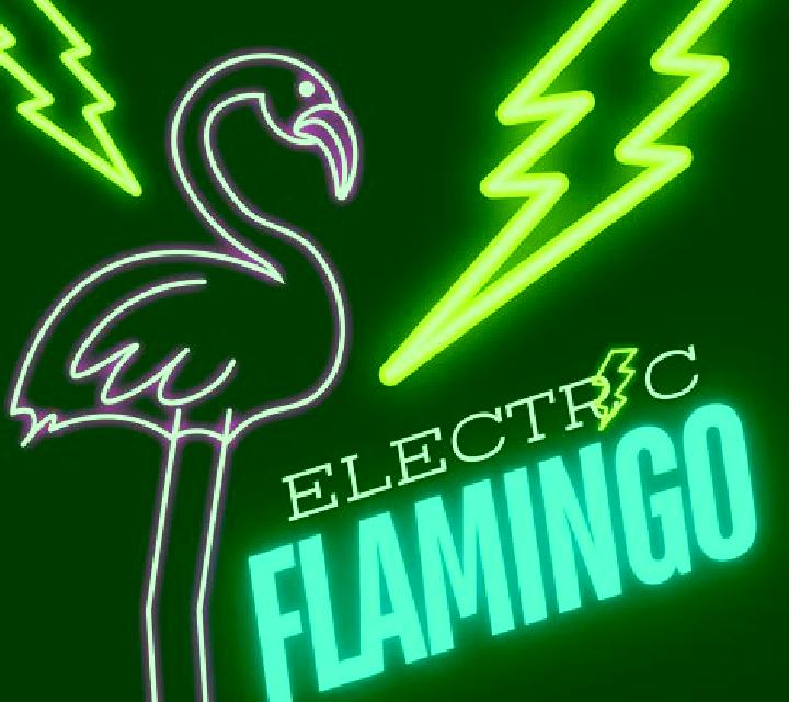 Electric Flamingo online slot