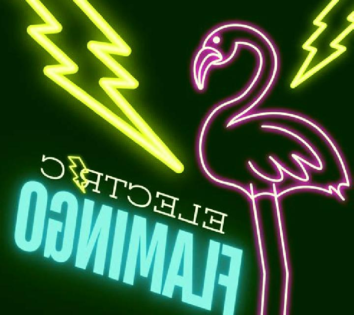 Electric Flamingo slot game