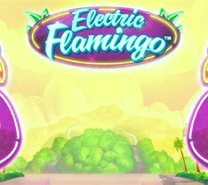 Electric Flamingo slot machine