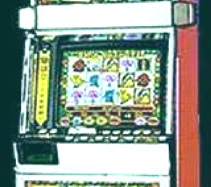 Elephant King slot machine