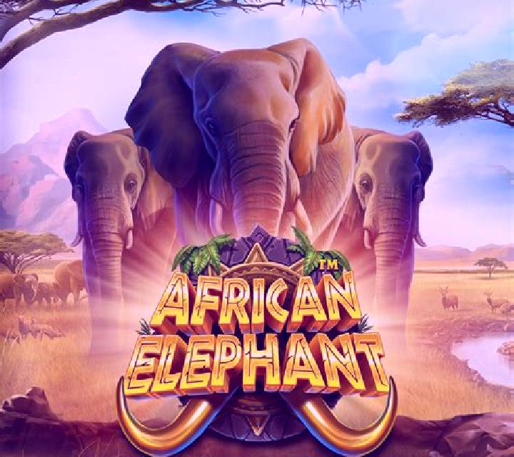Elephant Palace slot game