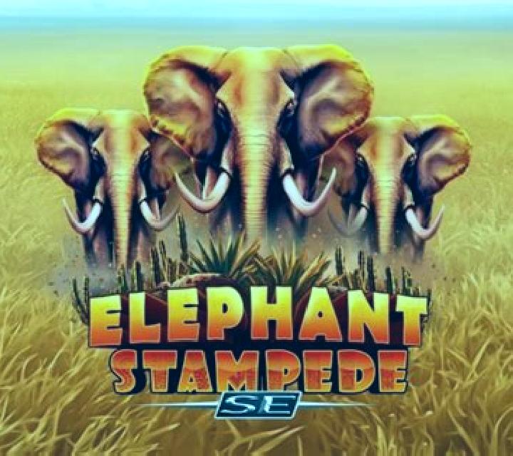 Elephant Stampede slot