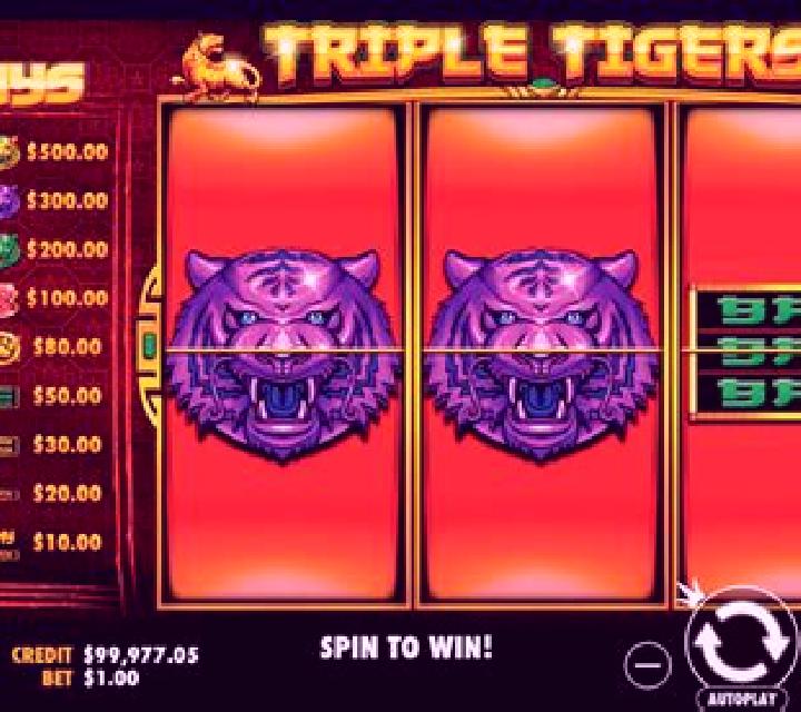 Elephants vs Tigers slot game