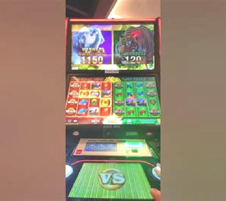 Elephants vs Tigers slot machine
