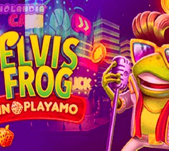 Elvis Frog In PlayAmo slot