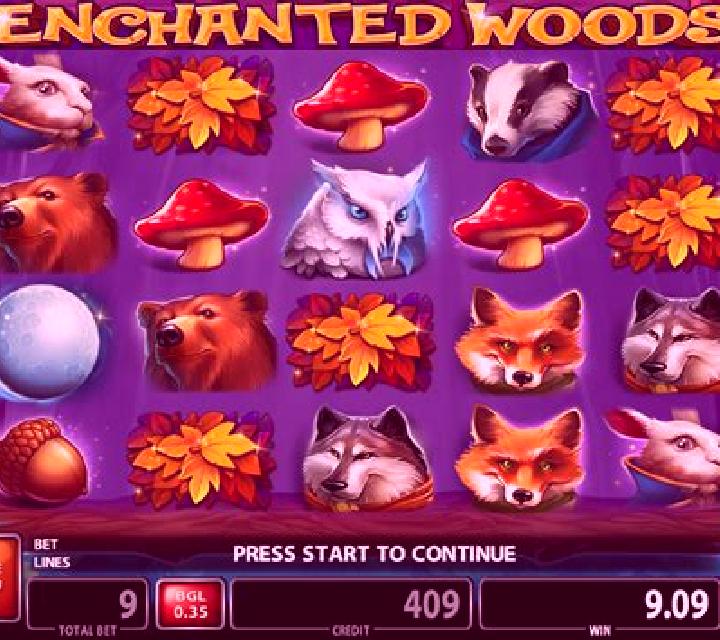Enchanted Woods (CT Gaming) online slot