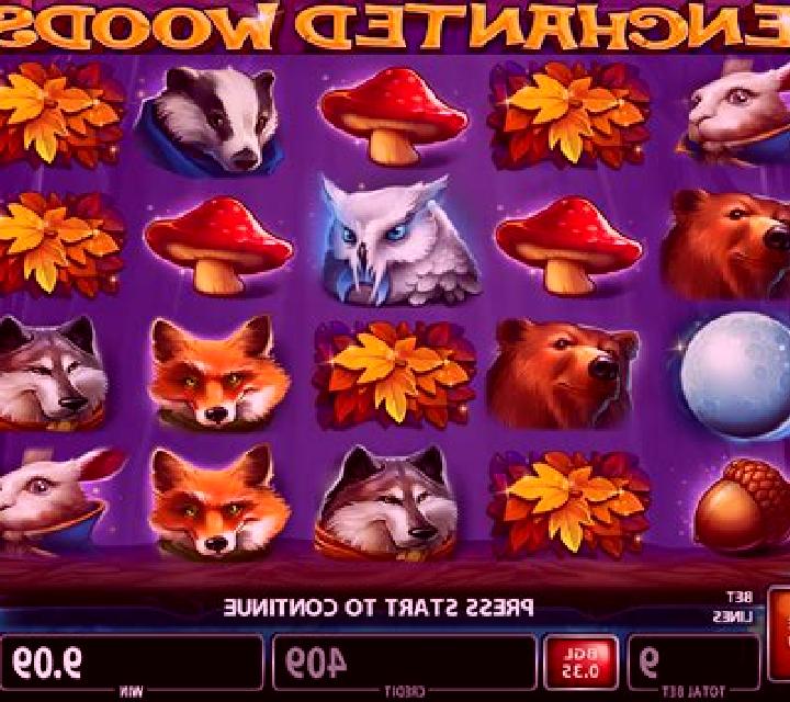 Enchanted Woods (CT Gaming) slot machine