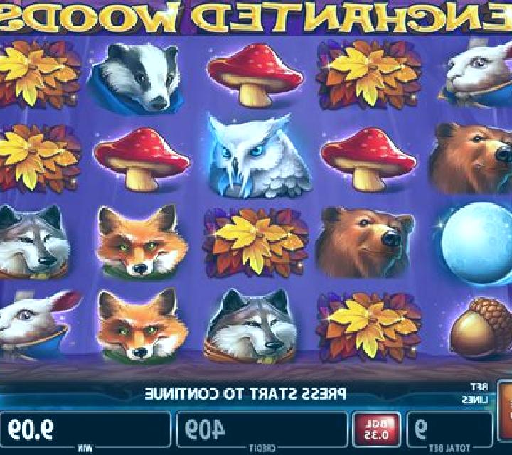 Enchanted Woods (CT Gaming) slot