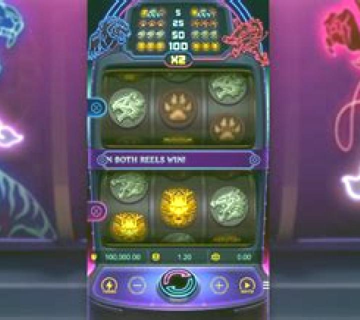 Endless Tiger Luck slot game