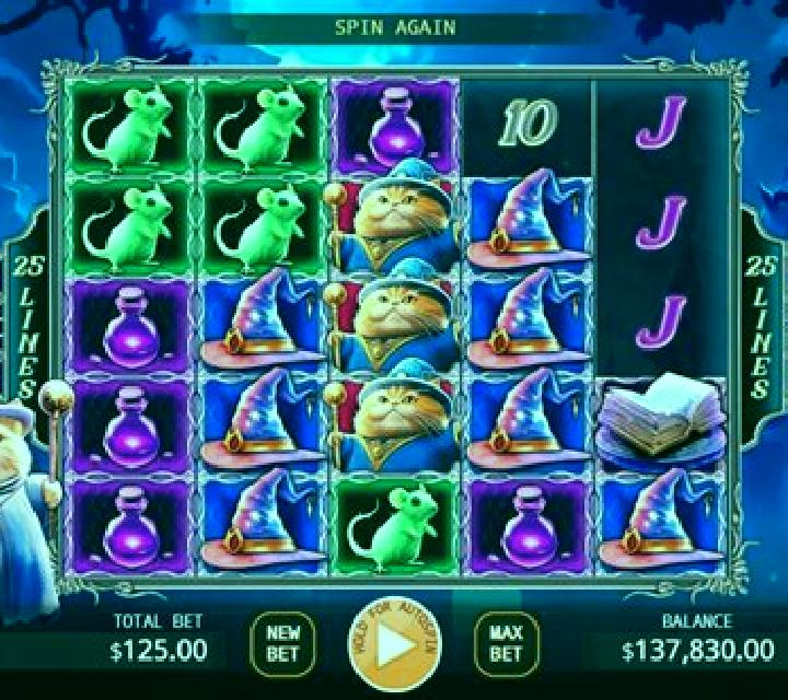 Evil Wizard Cat slot