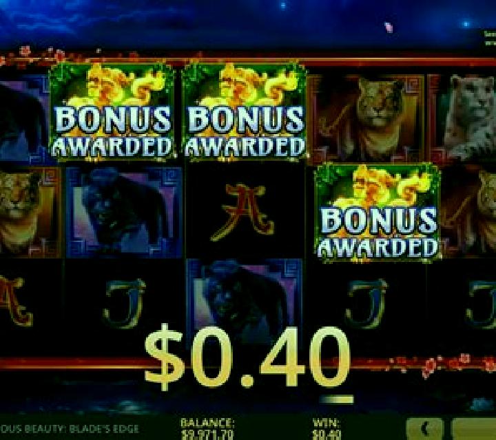 Exceeding Beauty slot